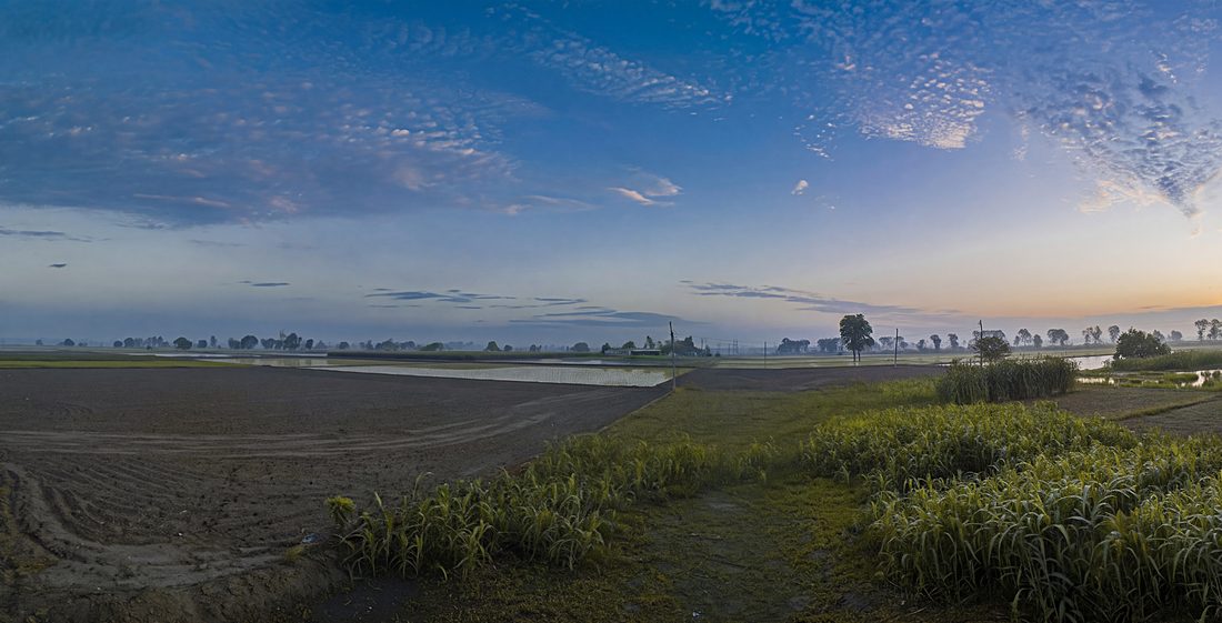 Keyframe — early season, morning