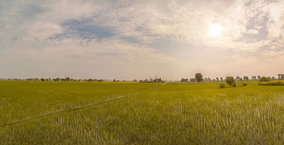Keyframe — green crop