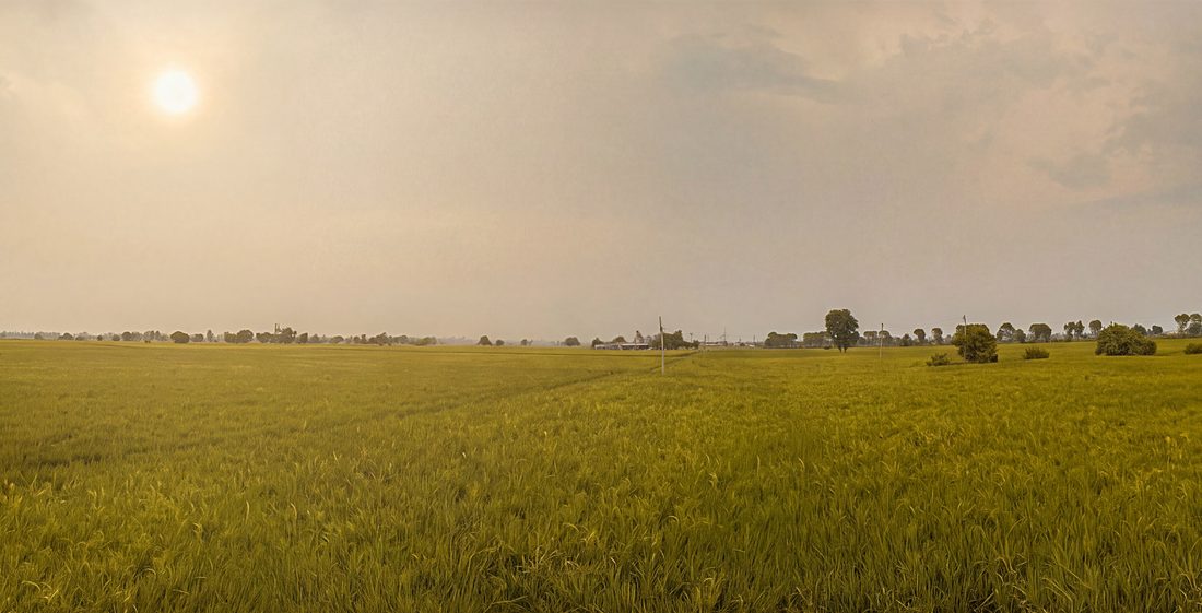 Keyframe — golden field