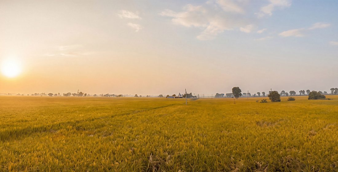 Keyframe — dusk, harvest