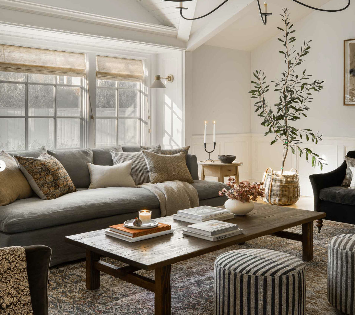 Reference interior: warm living room with an olive tree and layered textiles.